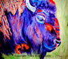 Purple Buffalo